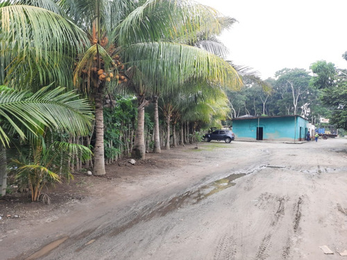 Imagen 8 de 8 de Vendo Locales En Aldea Caballo Blanco, Frente A Los Chiquirrines, Retalhuleu.