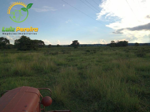 Imagem 4 de 7 de Fazenda À Venda Em Ribas Do Rio Pardo - Ms - De 411 Alqueires (pecuária) - 1744