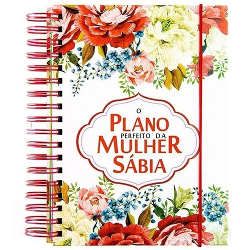 O Plano Perfeito Da Mulher Sábia - Branco (planner) - Agenda