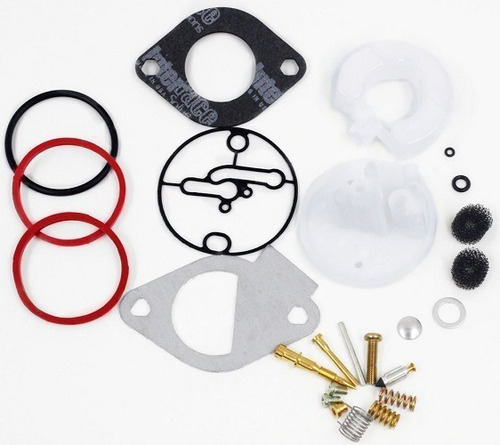 Kit Reparación Carburador Briggs Stratton (796184)