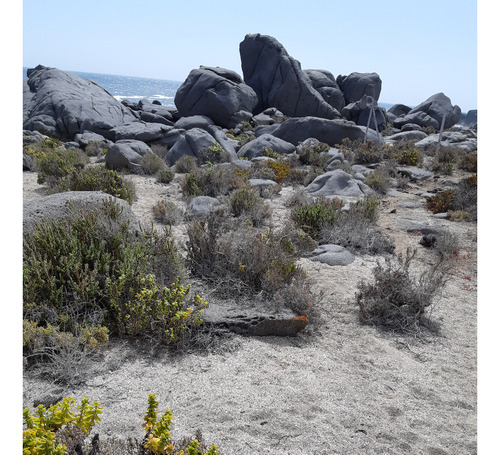 Terreno Con Playa Natural En El Arrayán Costero, La Serena