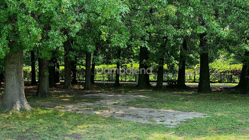 Imagen 27 de 30 de Terreno Lote En Venta O Permuta Ubicado En Colectora Acceso Oeste - General Rodríguez, G.b.a. Zona Oeste