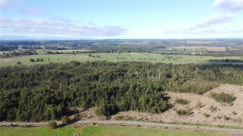 Imagen 3 de 30 de Agrícola En Venta En Puerto Varas