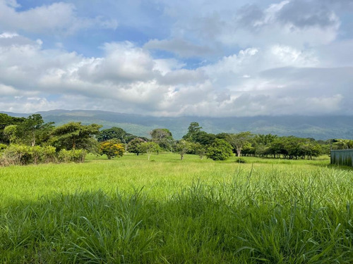 Imagen 5 de 14 de En Venta Terreno En Hato Royal