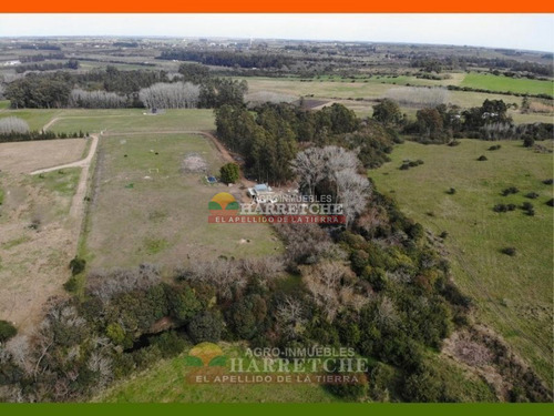 Imagen 4 de 22 de Chacra En Venta 3 Has Con Casa En El Colorado