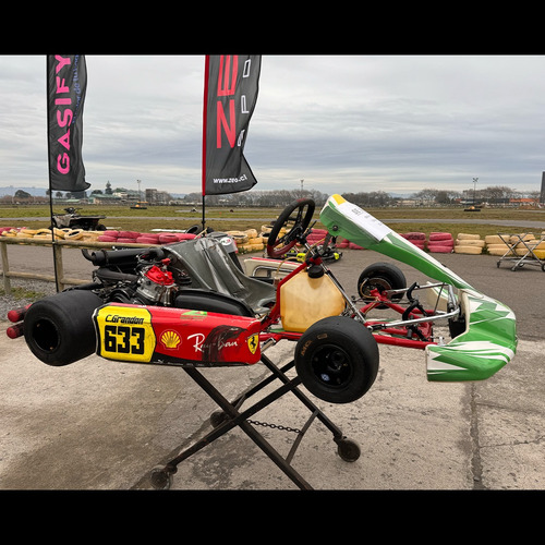 Karting Dd2 Motor Rotax, Modelo Birel Art