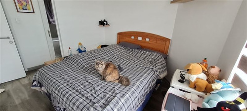 Imagen 6 de 21 de Departamento En Venta De 1 Dorm. En Ñuñoa