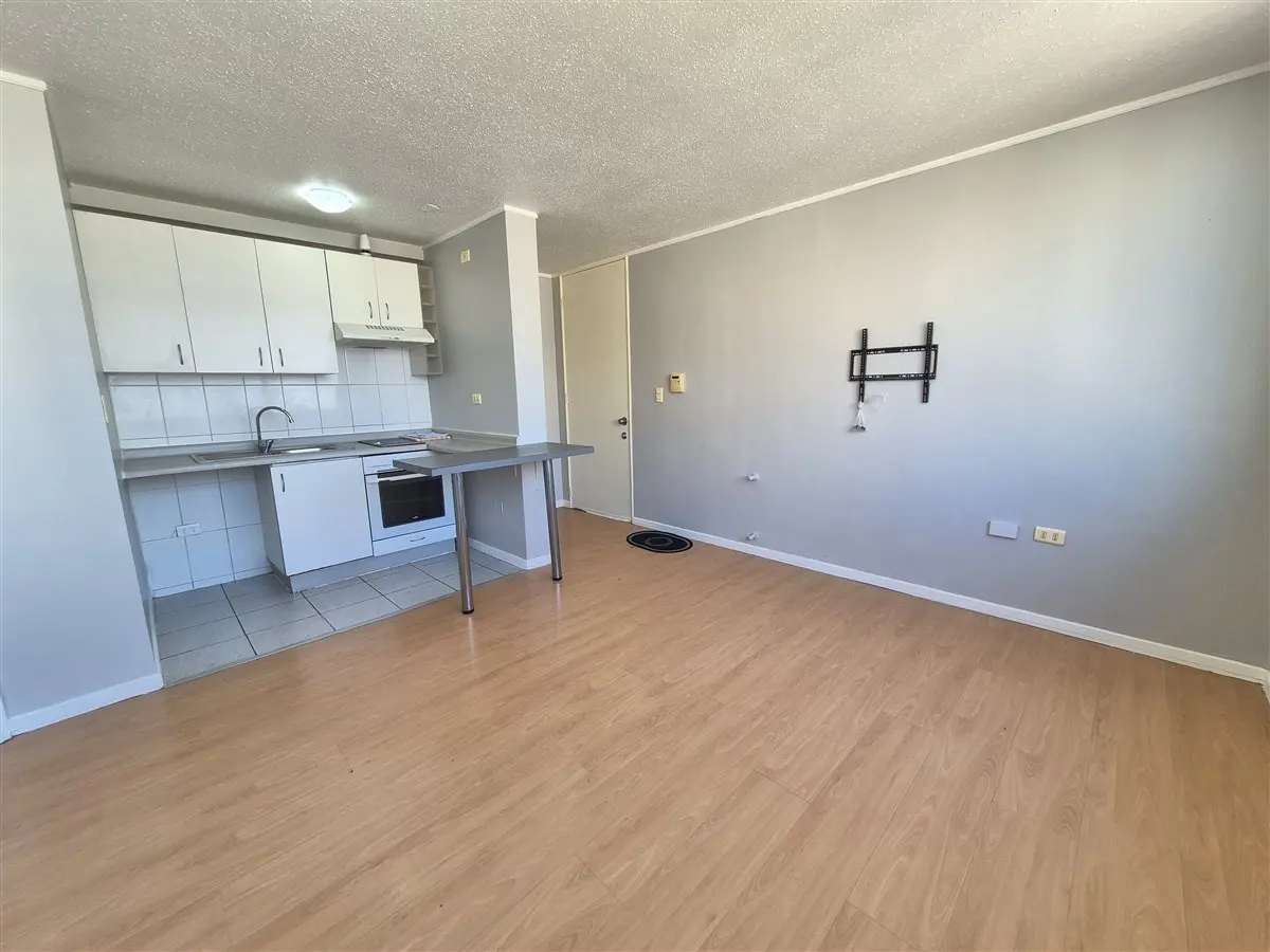Imagen 4 de 30 de Departamento En Arriendo De 1 Dorm. En Santiago