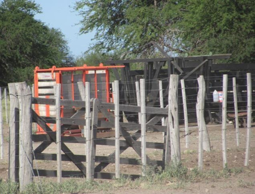 Imagen 5 de 9 de Campo - La Pampa Caleu Caleu