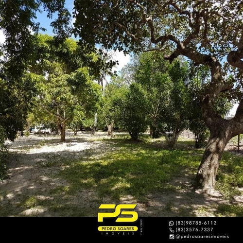 Imagem 2 de 15 de Sítio À Venda, 40000 M² Por R$ 490.000,00 - Centro - Campina Grande/pb - Si0012