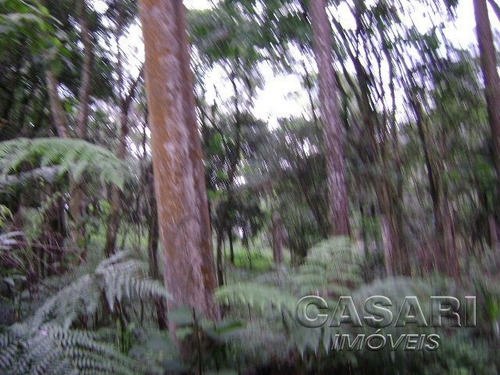 Imagem 4 de 8 de Terreno Residencial À Venda, Represa, Ribeirão Pires - Te3946. - Te3946