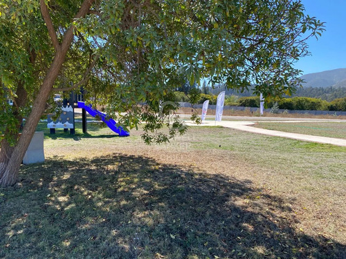 Bosques De Monte Sagrado Sitio Llegar Y Construir