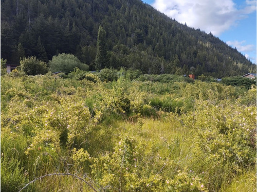 (027) Lago Puelo (radal - Ingreso Alt Currumahuida) Lotes De 1000mtrs2