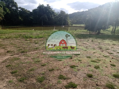 Imagem 17 de 20 de Fazenda À Venda Com 80 Alqueires Paulista No Vale Do Ribeira-sp Ref.: 0858