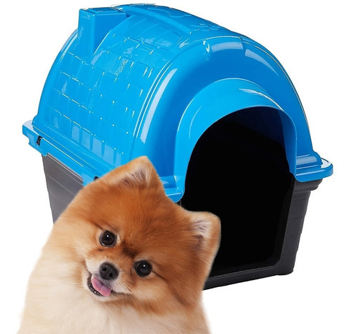 Casinha Iglu De Plástico Para Cães Pequenos Furacão Pet Nº2 Cor Azul