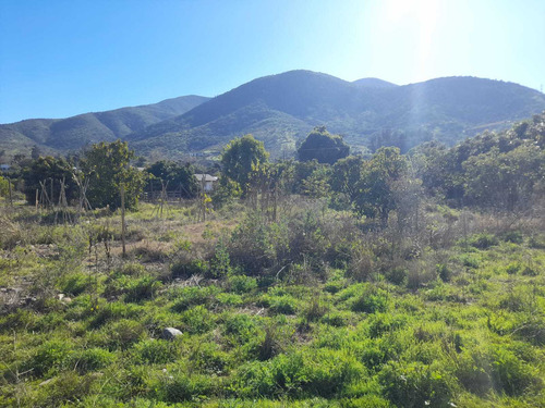 ¡venta De Parcela En El Boco, Quillota! (36476)