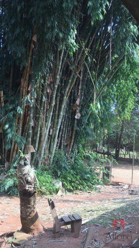 Imagem 10 de 30 de ***oportunidade*** Maravilhosa Chacara Em Piracaia Por Apenas R$780 Mil - Ch0218