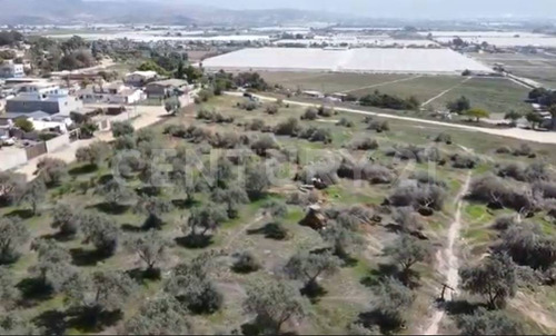 Los Olivos - Preventa De Terrenos Con Vista Al Mar En Ensenada