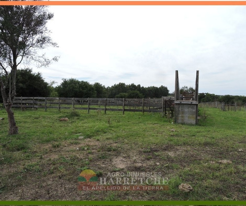 Campo 24 Has En Venta Canelones