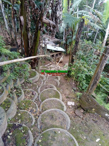 Imagem 15 de 15 de Chácara 4 Mil M² Em Paraibuna - 2140