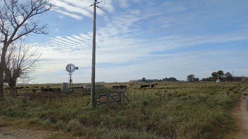 Imagen 3 de 30 de En Venta Chacra En Tapalque. Vendida