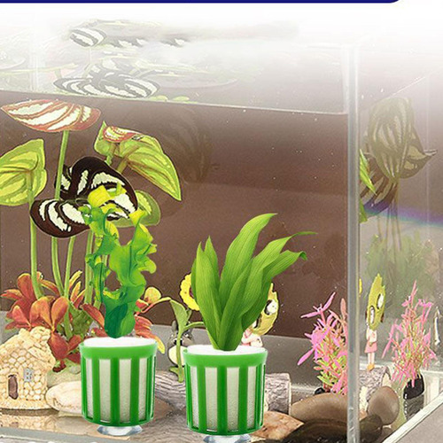 Conjunto De Anillo Fijo Soporte De De Acuario 20pc Esponja