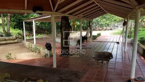 Imagen 9 de 14 de Se Vende Finca En Plena Via Upata, Ciudad Guayana, Venezuela