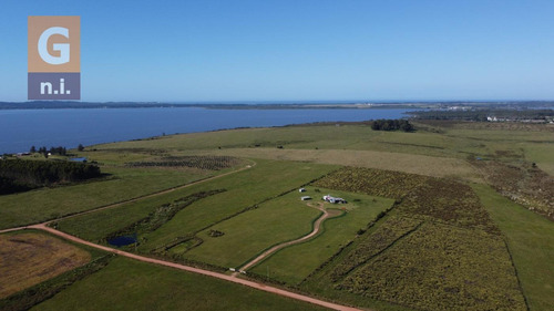 Campos Y Fracciones En Maldonado (laguna Del Sauce) - Ref. 4616