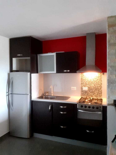Imagen 6 de 17 de Apartamento En Alquiler