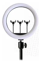 Comprar Aro Anillo Luz Led De 36cm + 3 Soportes Para Celular 40 Watt