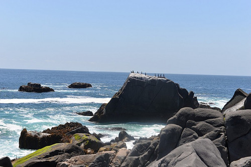Sitio Frente Al Mar El Arrayán Costero