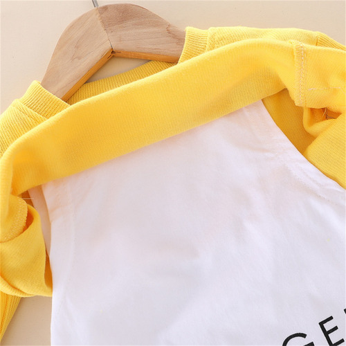 Conjunto Niño Sudadera Con Efecto De Doble Capa Y Pantalones Amarillo 2-3 Años