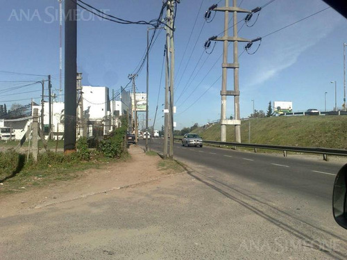 Imagen 12 de 19 de Excelente Terreno A Mts. De Panamericana