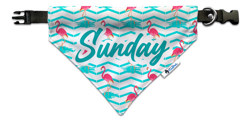Bandana Personalizada Para Mascotas