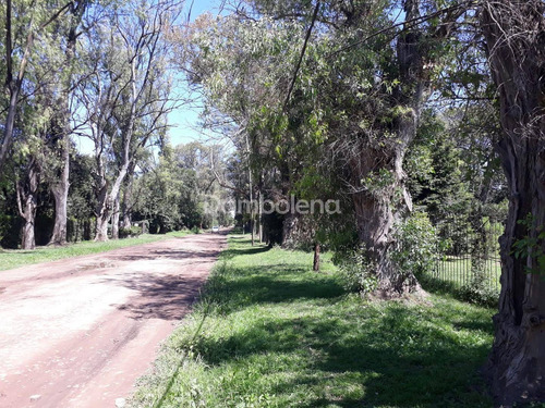 Imagen 6 de 10 de Terreno Lote En Venta Ubicado En La Reja, Moreno, G.b.a. Zona Oeste