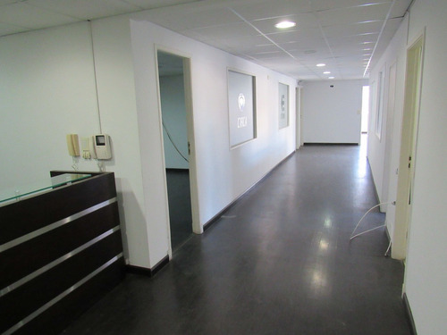 Imagen 2 de 18 de Alquiler Oficina 232 M2