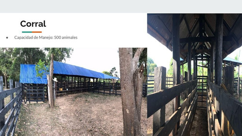 Imagen 8 de 14 de Venta Hacienda Puerto Gaitan