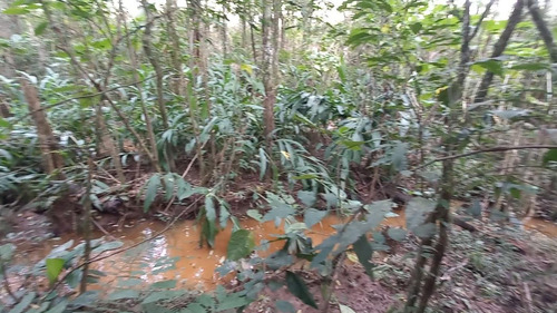 Imagem 3 de 15 de Sítio / Chácara Para Venda Em Araucária, Zona Rural, 2 Dormitórios, 1 Banheiro, 1 Vaga - 157_2-1591009