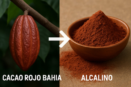 Cacao Rojo Bahia Alcalino 1 Kilo