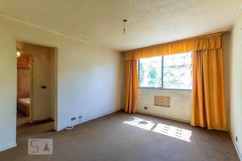Apartamento Para Aluguel - Quintino Bocaiúva, 1 Quarto, 50 - 893241974