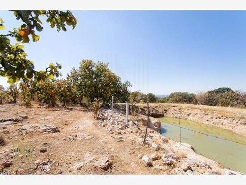 Imagen 6 de 7 de Terreno En Venta Canoas