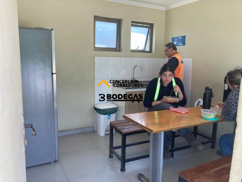 Arriendo Bodega De 1616 M2 En Pi Lo Boza.