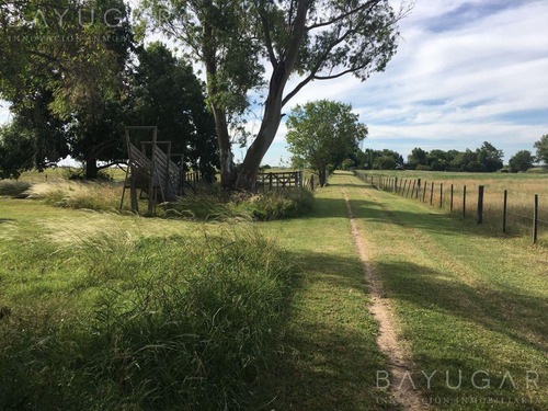 Imagen 25 de 30 de Venta - Campo En Cardales - Bayugar Negocios Inmobiliarios