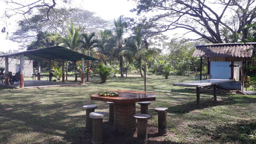 Imagen 3 de 10 de Venta De Granja En Torunos