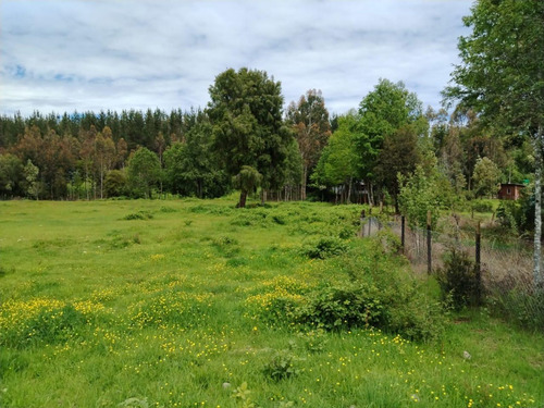 Vende Terreno 6.700 M2 Cerca Lago Ranco, Pillaco, Region De