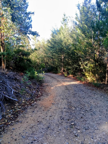 Condominio Orilla Embalse Tutuven Km 15 Cauquenes-chanco