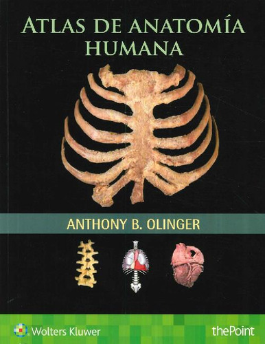 Libro Atlas De Anatomía Humana De Anthony B Olinger