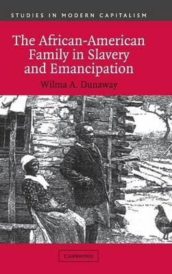 Libro Studies In Modern Capitalism: The African-american ...