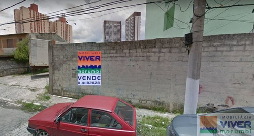 Imagem 7 de 10 de Terreno Em Localização Estratégica, Vizinho A Grande Centro De Compras - Nova 25 De Março - Que Pote - Nm4935