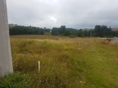 Terreno en venta
